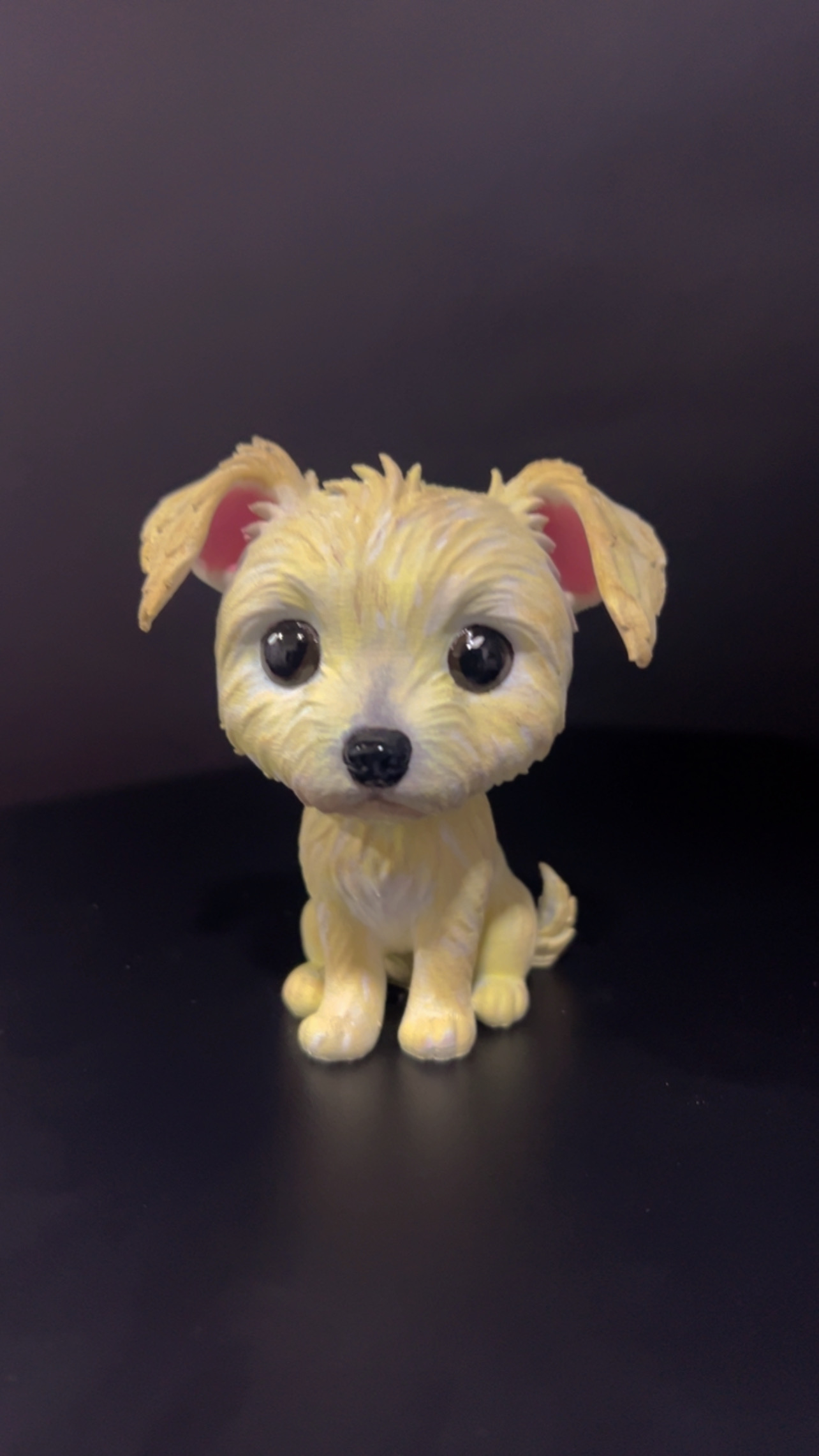 Funko de mascota — Foto 3 de 10