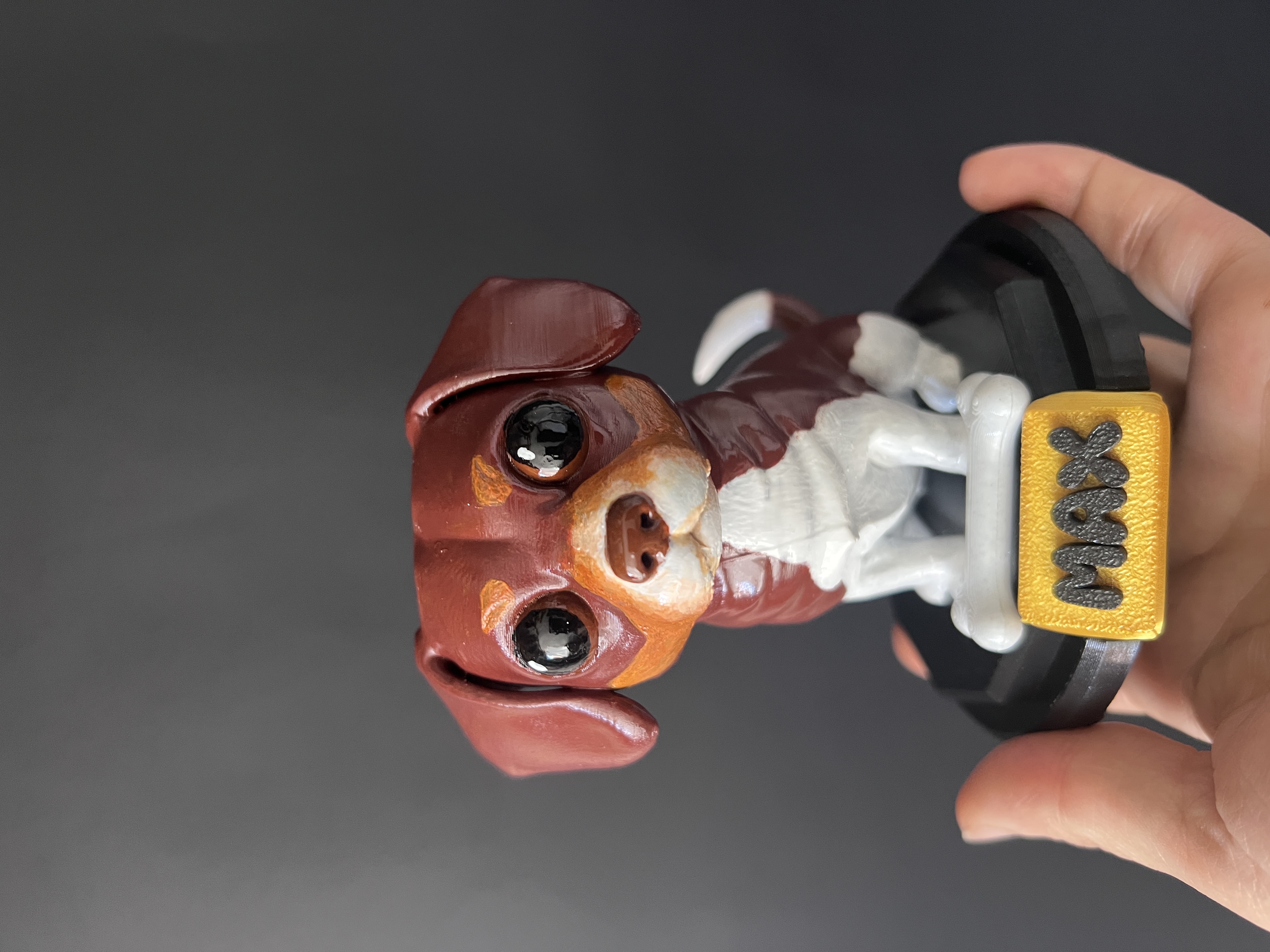Funko de mascota — Foto 9 de 10