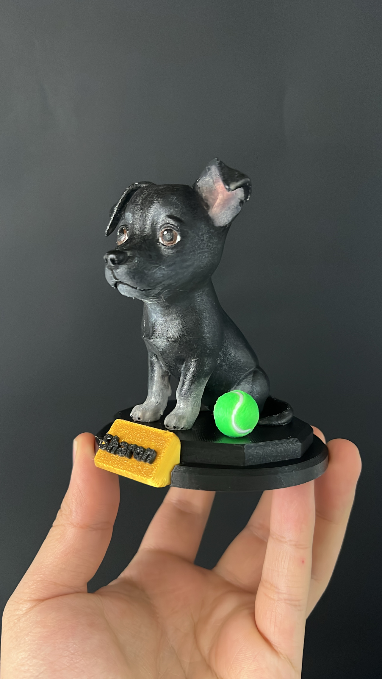 Funko de mascota — Foto 1 de 10
