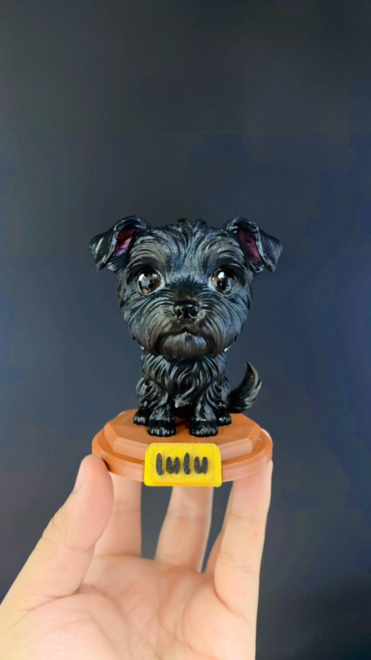 Funko de mascota — Foto 6 de 10