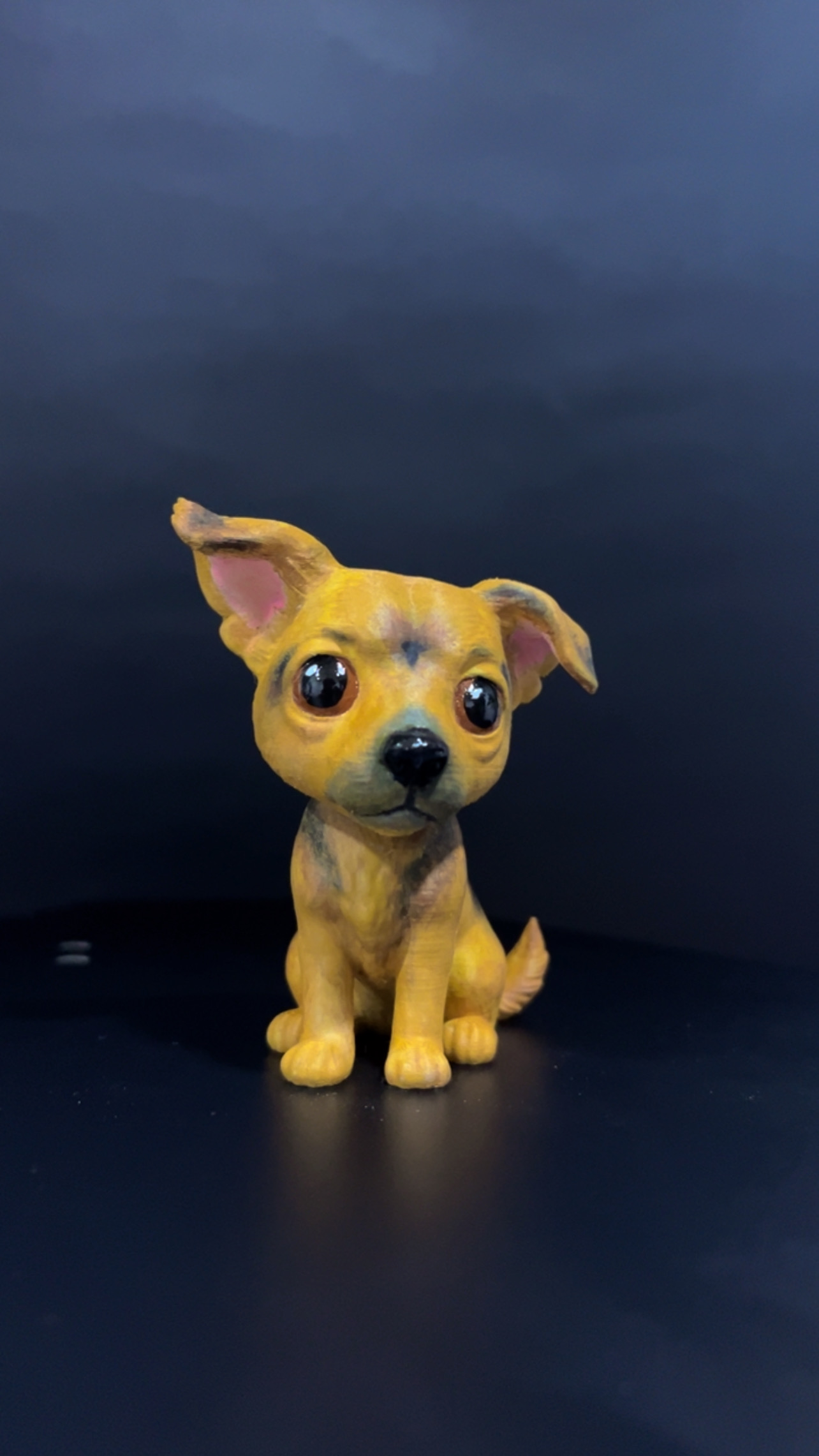 Funko de mascota — Foto 2 de 10